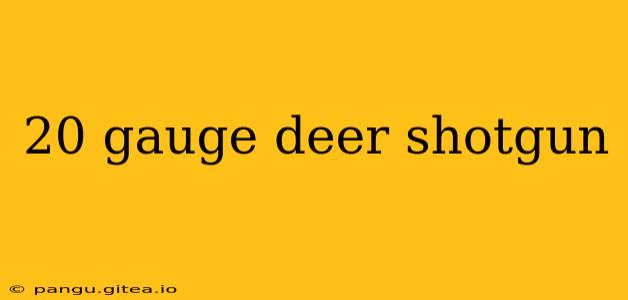 20 gauge deer shotgun