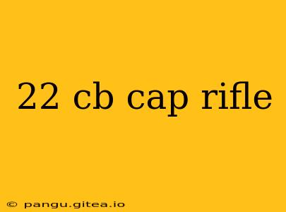 22 cb cap rifle