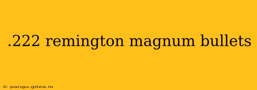 .222 remington magnum bullets