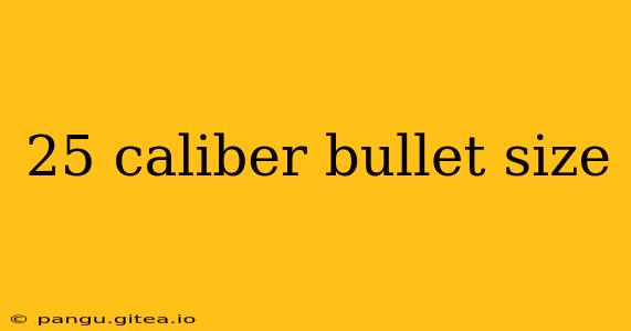 25 caliber bullet size
