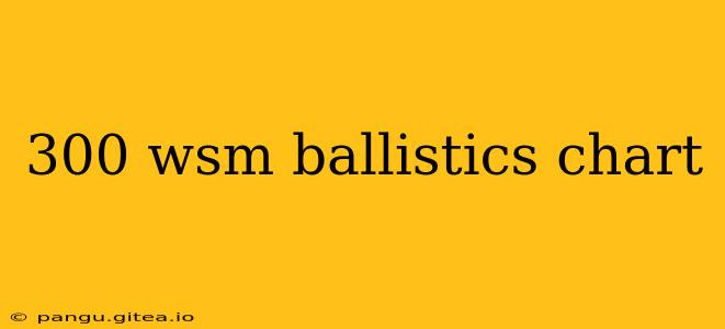 300 wsm ballistics chart