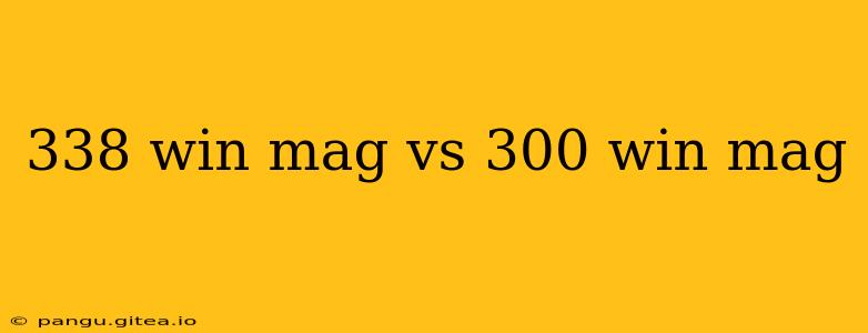 338 win mag vs 300 win mag