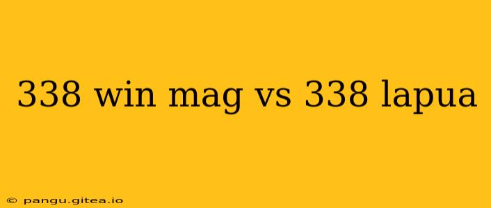 338 win mag vs 338 lapua
