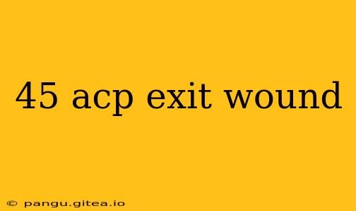 45 acp exit wound