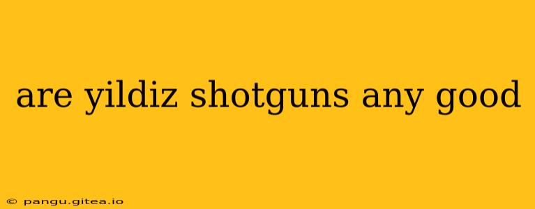 are yildiz shotguns any good