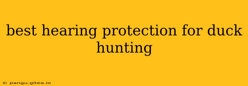 best hearing protection for duck hunting