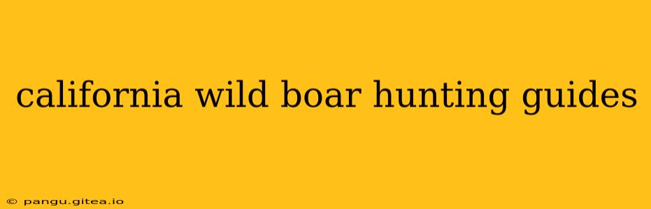 california wild boar hunting guides