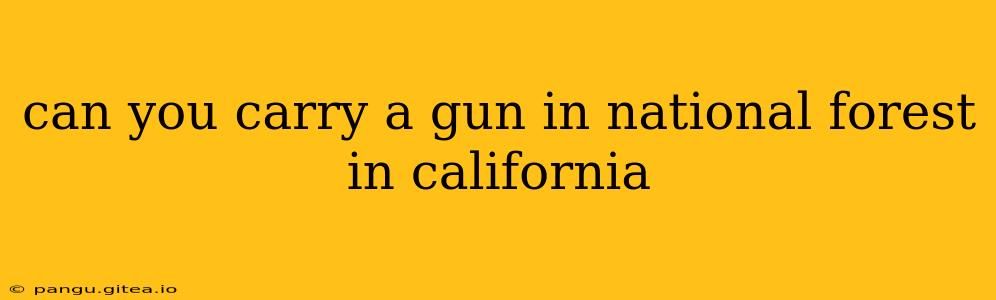 can you carry a gun in national forest in california
