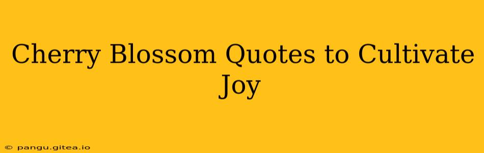 Cherry Blossom Quotes to Cultivate Joy
