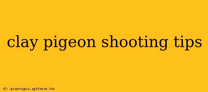 clay pigeon shooting tips