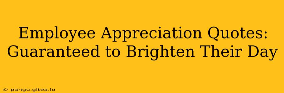 Employee Appreciation Quotes: Guaranteed to Brighten Their Day