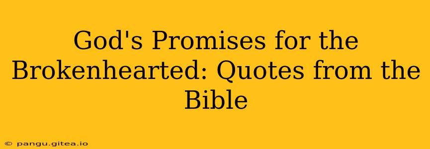 God's Promises for the Brokenhearted: Quotes from the Bible