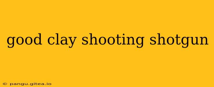 good clay shooting shotgun