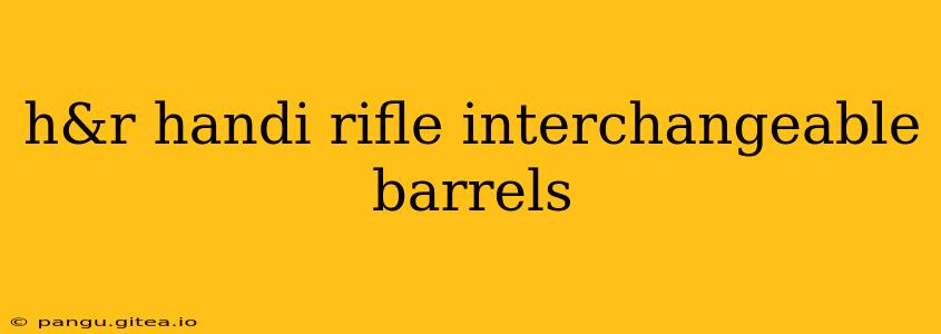 h&r handi rifle interchangeable barrels