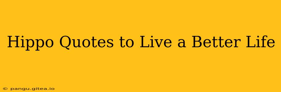 Hippo Quotes to Live a Better Life