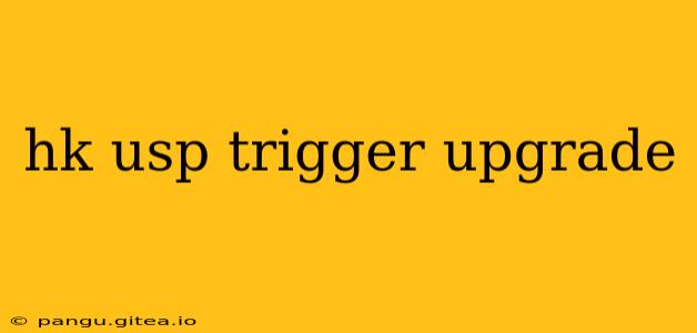 hk usp trigger upgrade
