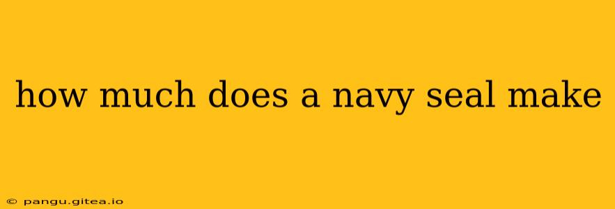 how much does a navy seal make
