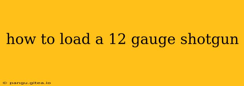 how to load a 12 gauge shotgun
