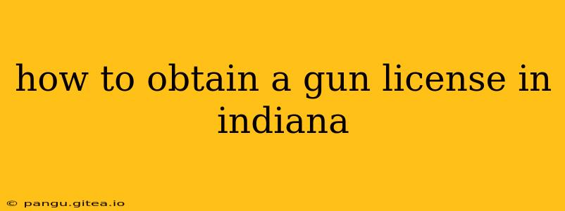 how to obtain a gun license in indiana