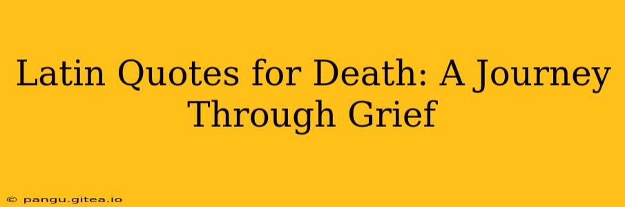 Latin Quotes for Death: A Journey Through Grief