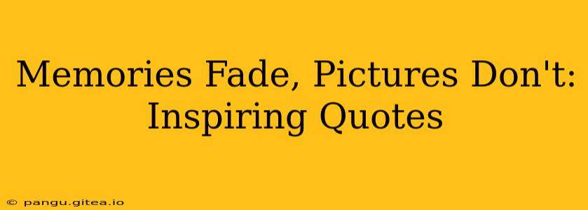 Memories Fade, Pictures Don't: Inspiring Quotes