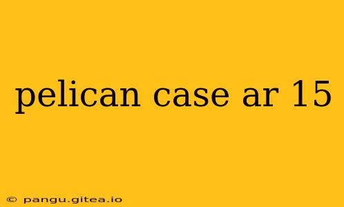 pelican case ar 15