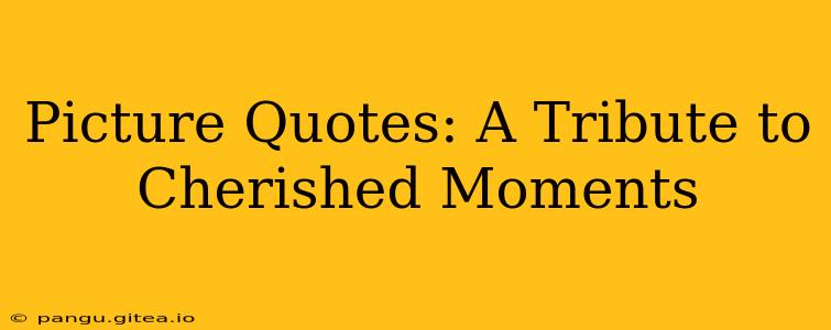 Picture Quotes: A Tribute to Cherished Moments