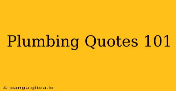 Plumbing Quotes 101