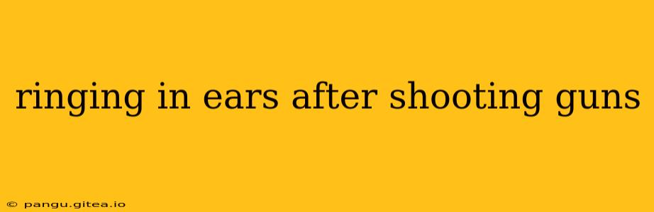 ringing in ears after shooting guns