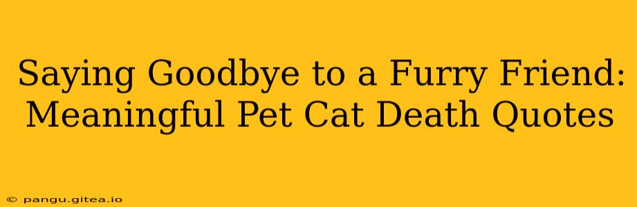 Saying Goodbye to a Furry Friend: Meaningful Pet Cat Death Quotes