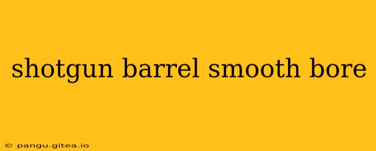 shotgun barrel smooth bore