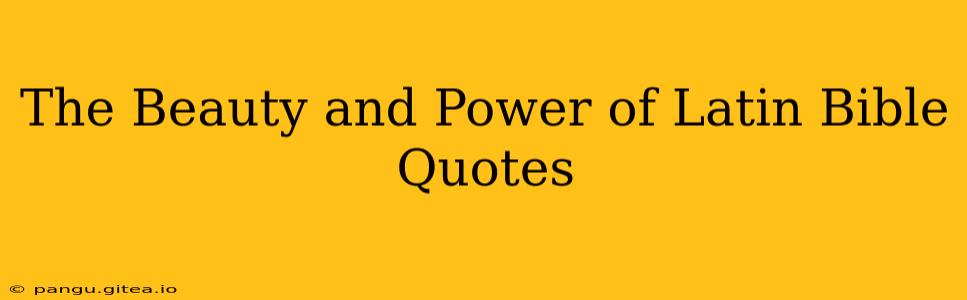 The Beauty and Power of Latin Bible Quotes