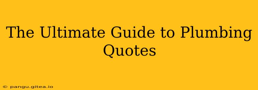 The Ultimate Guide to Plumbing Quotes