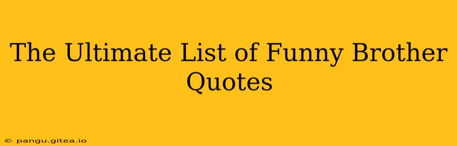 The Ultimate List of Funny Brother Quotes