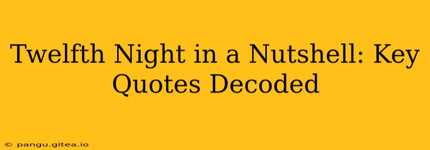 Twelfth Night in a Nutshell: Key Quotes Decoded
