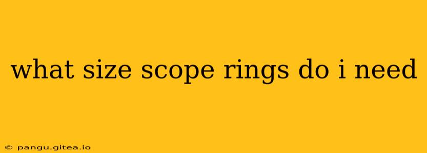 what size scope rings do i need