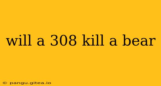 will a 308 kill a bear