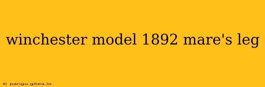 winchester model 1892 mare's leg